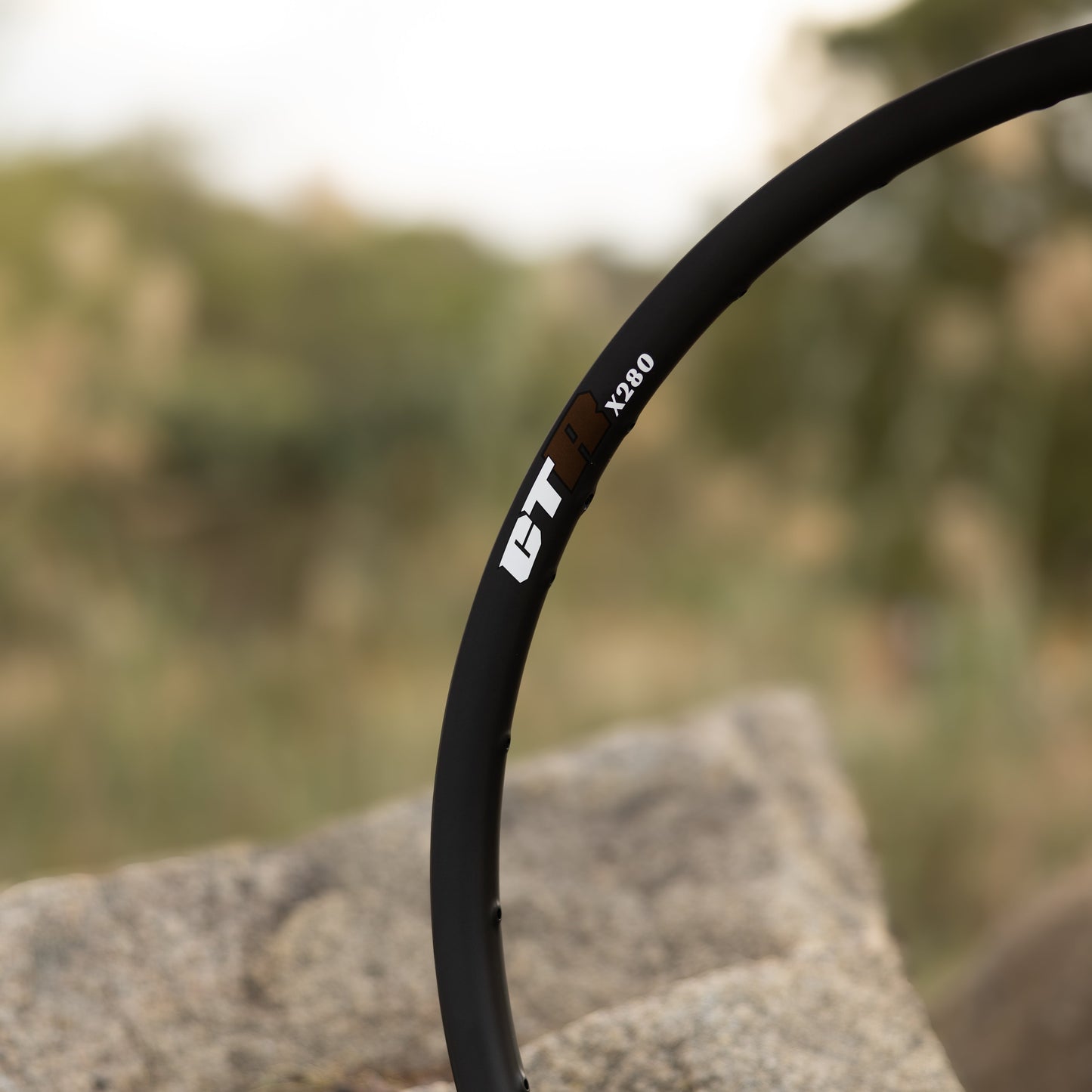 CTR X280 Carbon XC Rims — 280g Ultralight Asymmetric 29" Set (Hookless, 28H)